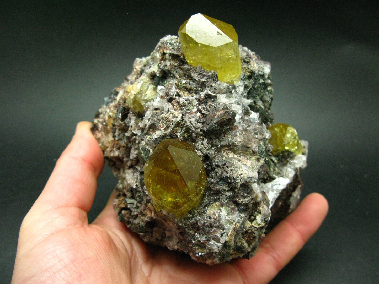 Museum Golden Apatite Cluster From Mexico - 4.8"