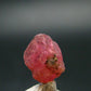 Rhodochrosite Gem Crystal From Colorado - 4.80 Carats - 0.4"