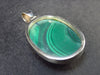Queen of Green!! Genuine Vivid Vibrant Green Malachite Sterling Silver Pendant - 2.1" - 24.5 Grams