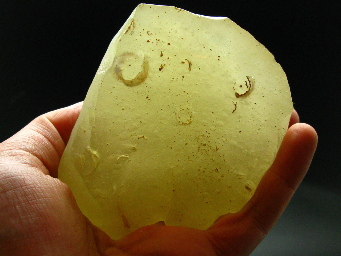 Huge Gem Libyan Tektite Glass From Libya - 440 Grams - 3.8"