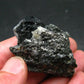 Rare Sapphirine on matrix Cluster From Madagascar - 2.2"