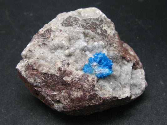 Cavansite on Stilbite Cluster From India - 1.7"