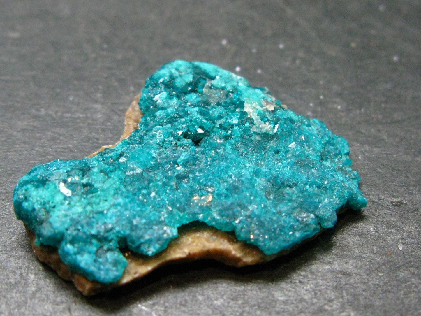 Beautiful Dioptase Cluster from Kazakhstan - 1.1" - 5.24 Grams
