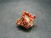 Large Vanadinite Cluster From Morocco - 1.2"