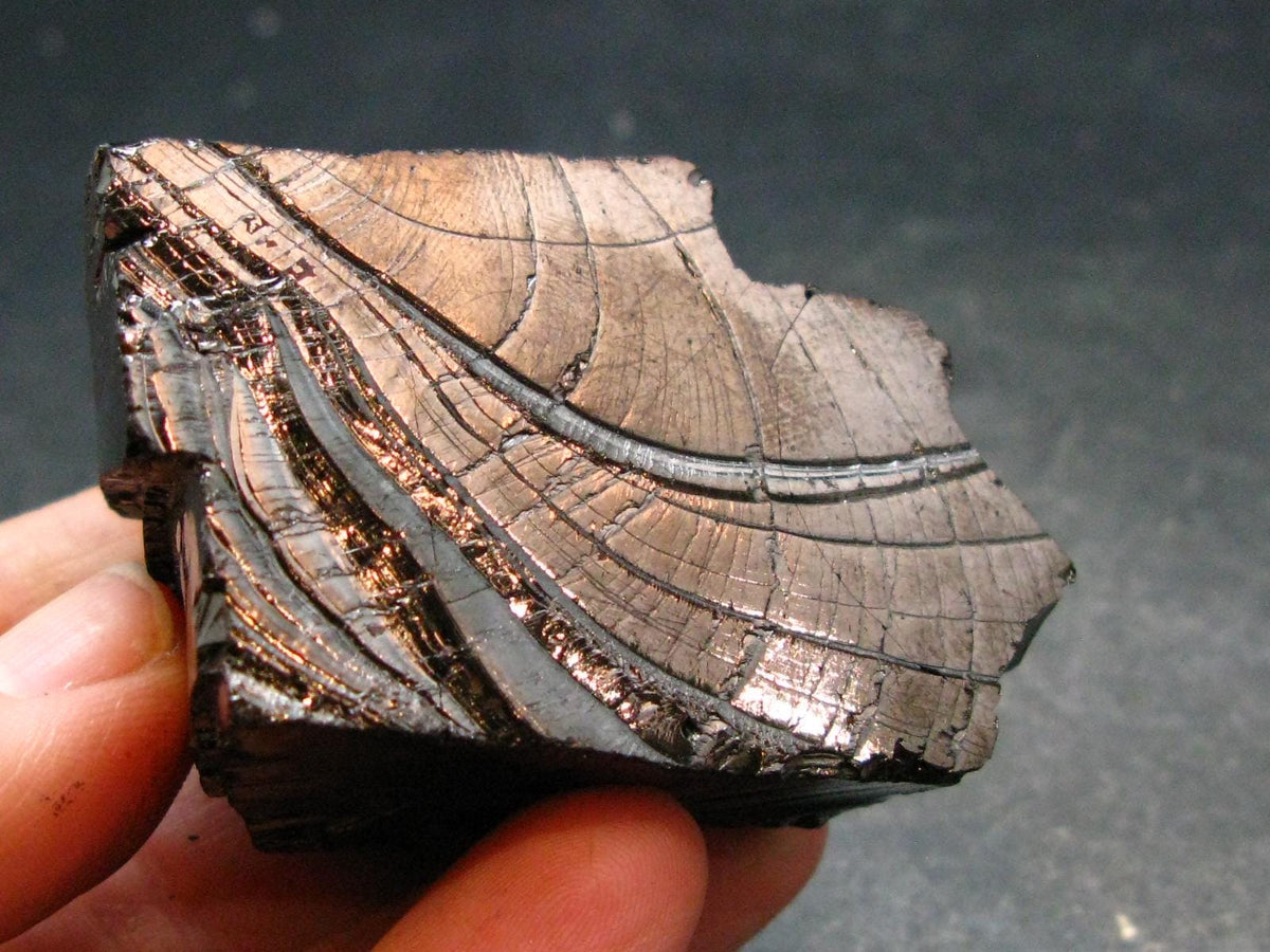 Elite Shungite Raw Piece from Russia - 2.0" - 48.67 Grams