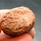 Rare Sedonalite Vortex Shaman Stone From Sedona Arizona - 1.1" - 17.90 Grams