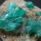 Emerald Beryl Crystal On Matrix From Colombia - 3.2"