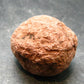 Rare Sedonalite Vortex Shaman Stone From Sedona Arizona - 1.1" - 17.90 Grams