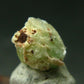 Very Rare Phosphophyllite Crystal From Bolivia - 0.5" - 0.87 Grams