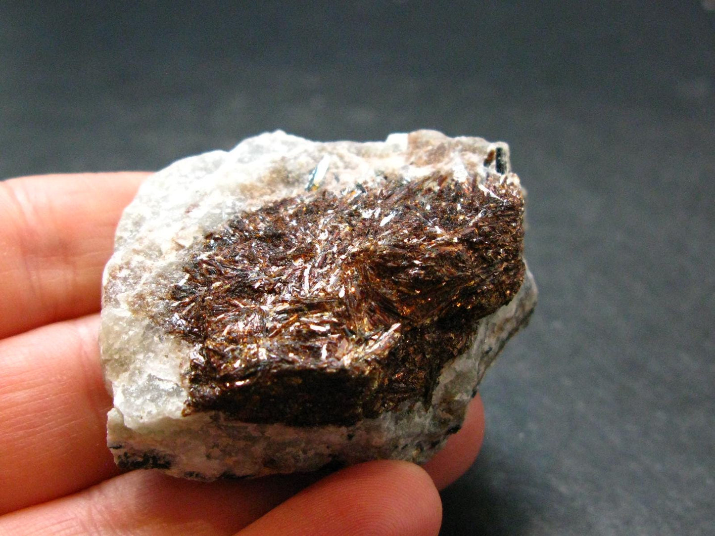 Astrophylite Astrophyllite Cluster From Russia - 2.1" - 46.86 Grams