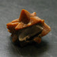 Glendonite (Ikaite after Calcite) Crystal From Russia - 1.0" - 7.81 Grams