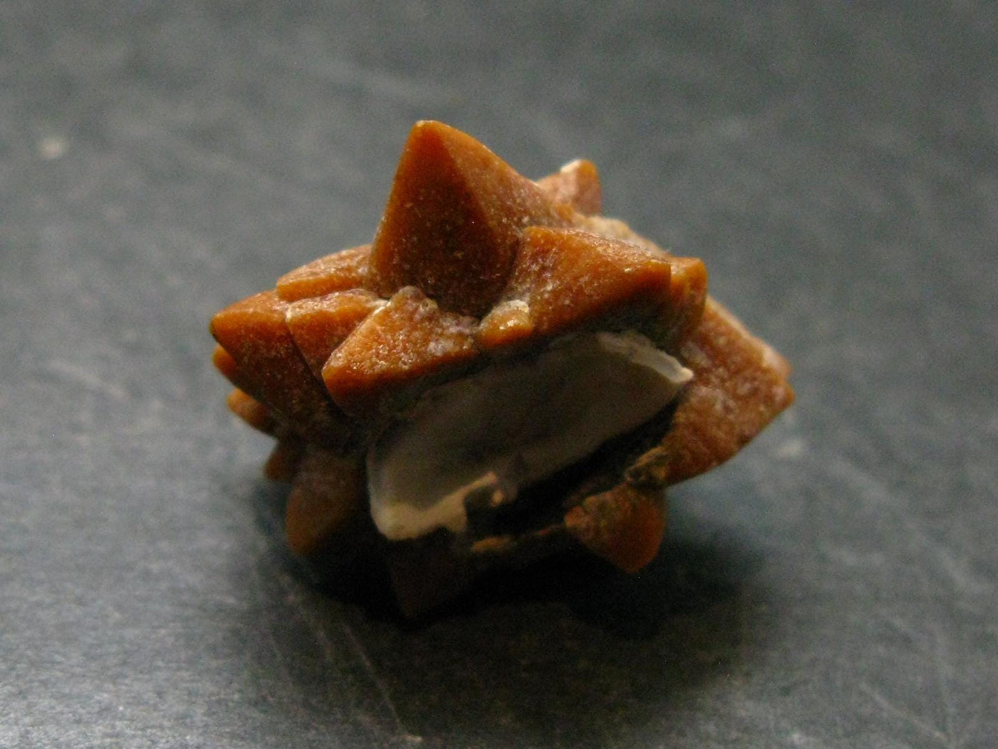 Glendonite (Ikaite after Calcite) Crystal From Russia - 1.0" - 7.81 Grams