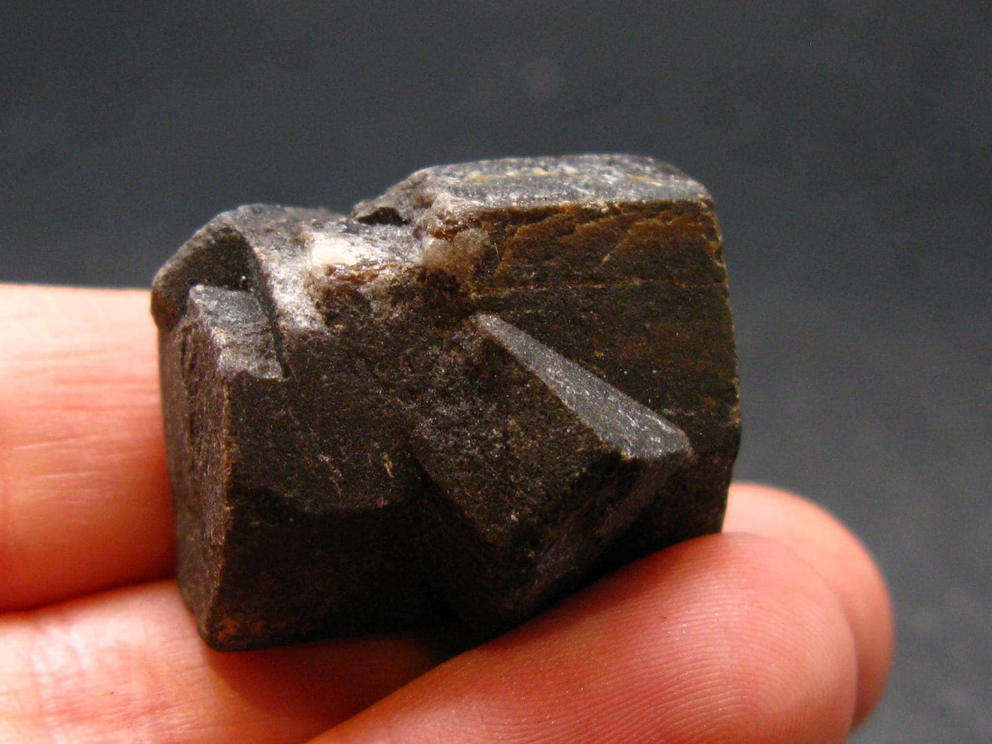 Staurolite Crystal from USA - 20.51 Grams - 0.9"