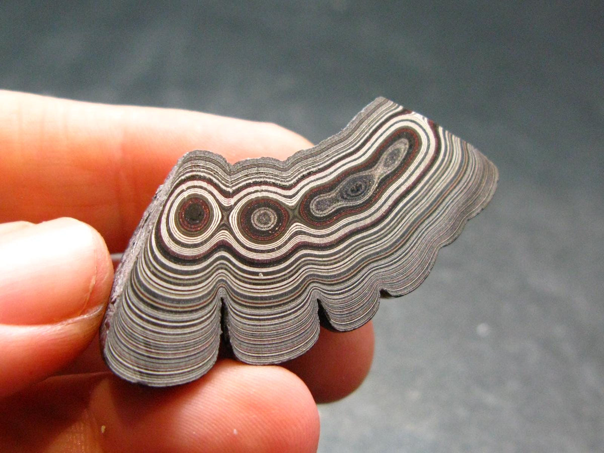 Very Cool Fordite "Detroit Motor City Agate" from Michigan - 1.6"- 8.07 Grams