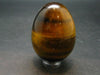 Golden Tiger Eye Egg From South Africa - 1.9"