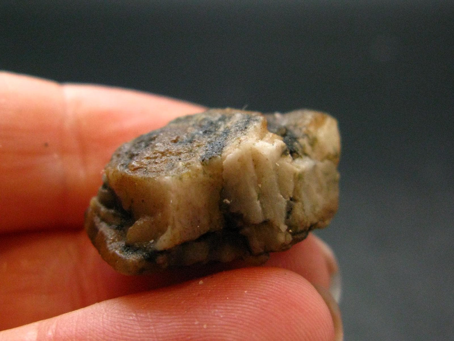 Phenakite Phenacite Crystal From Brazil - 7.49 Grams - 1.0"