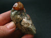 Rare Spessartine Spessartite Orange Garnet Crystal Cluster From Tanzania - 36.56 Grams - 2.1"