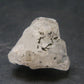 Phenakite Phenacite Gem Crystal from Brazil - 0.7" - 21.55 Carats