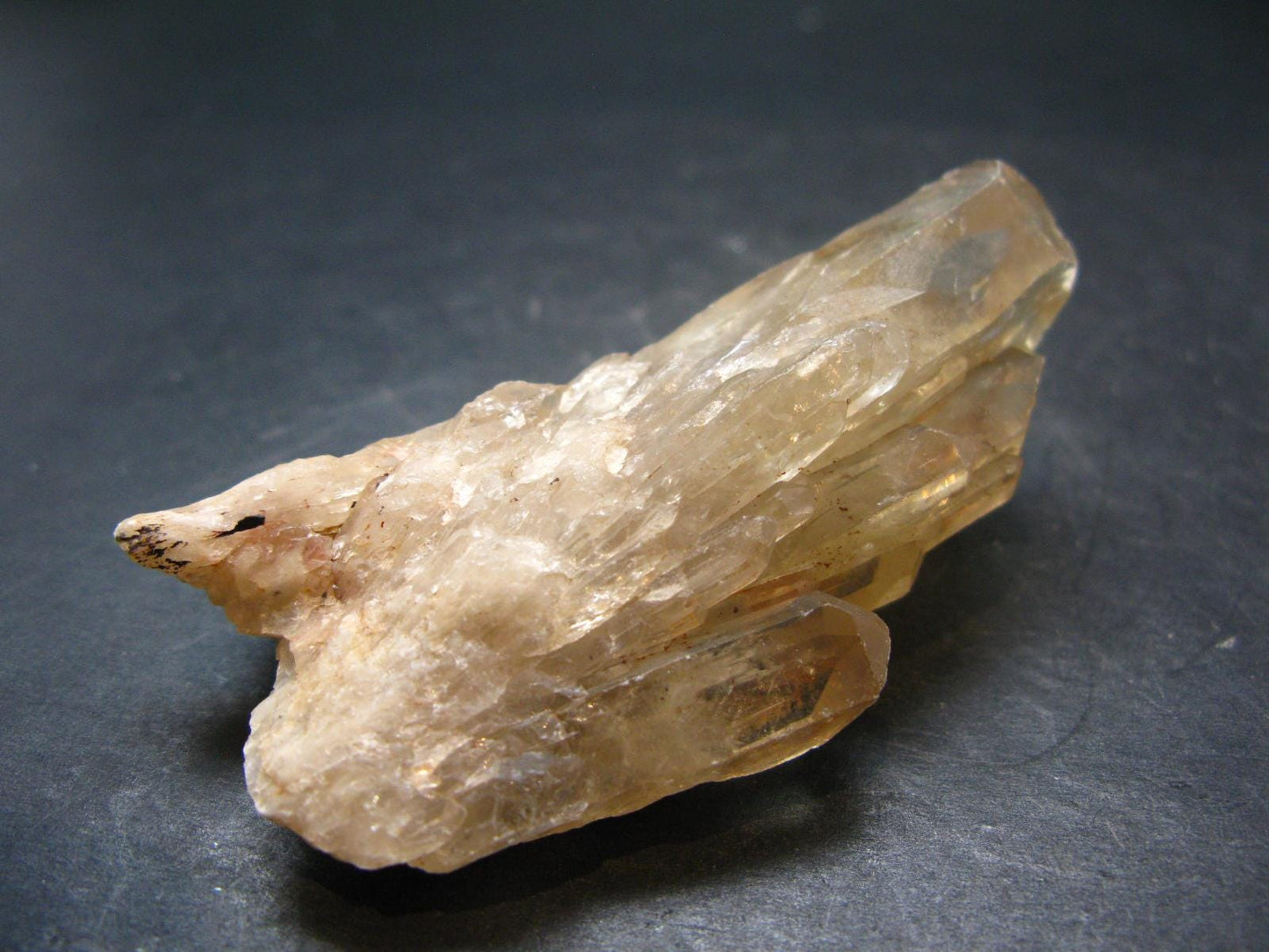 Natural Unheated Citrine Crystal from Congo - 65.29 Grams