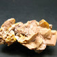 Wulfenite Cluster From Arizona - 2.1"