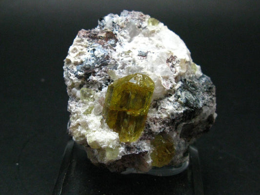 Museum Golden Apatite Cluster From Mexico - 2.2"