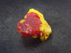 Rare Fire Realgar on Orpiment Crystal From Russia - 1.3" - 9.7 Grams