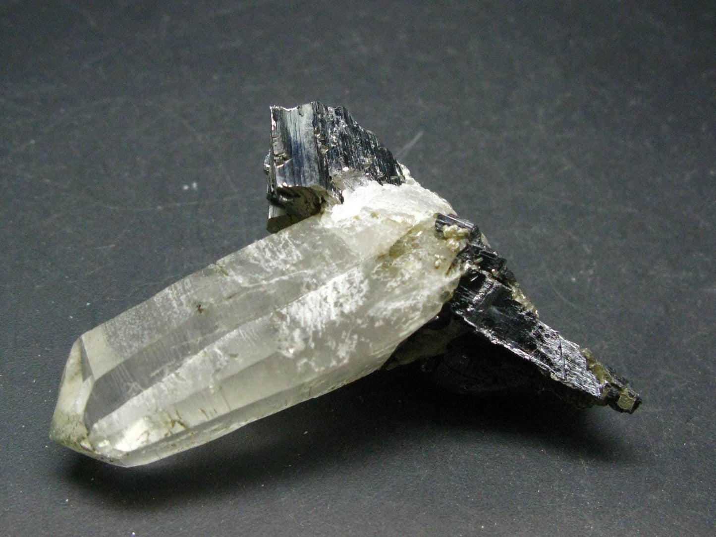 Perfect Arsenopyrite Wolframite on Quartz Cluster from Portugal - 2.7"