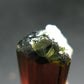 Green Tourmaline Crystal From Brazil - 2.7" - 129 Carats