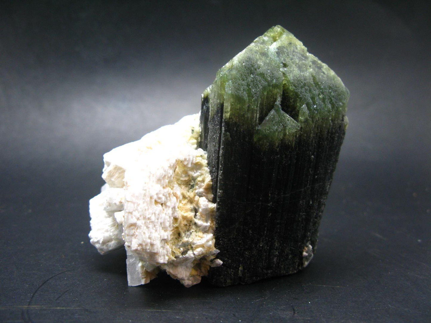 Green Tourmaline (Vanadium Dravite) Crystal on Albite From Tanzania - 3.5" - 416 Grams