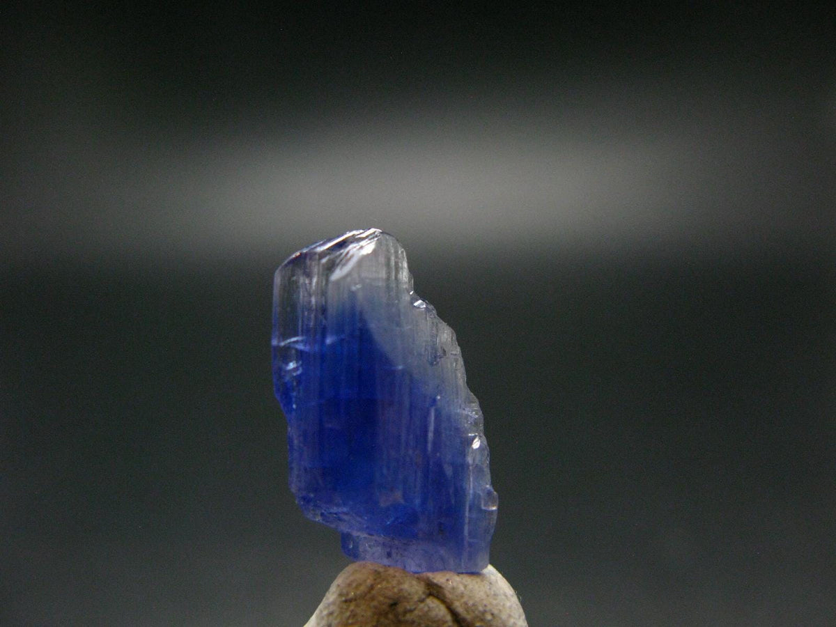 Fine Gem Tanzanite Zoisite Crystal From Tanzania - 9.20 Carats - 0.8"