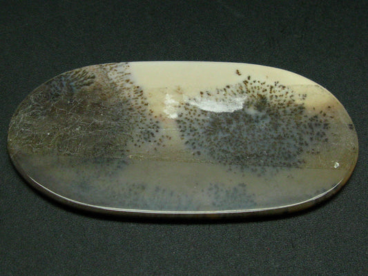 Dandelions!! Rare Scenery Moss Agate Cabochon from Kazakhstan