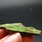 Gaspeite Raw Piece From Canada - 1.5" - 5.32 Grams