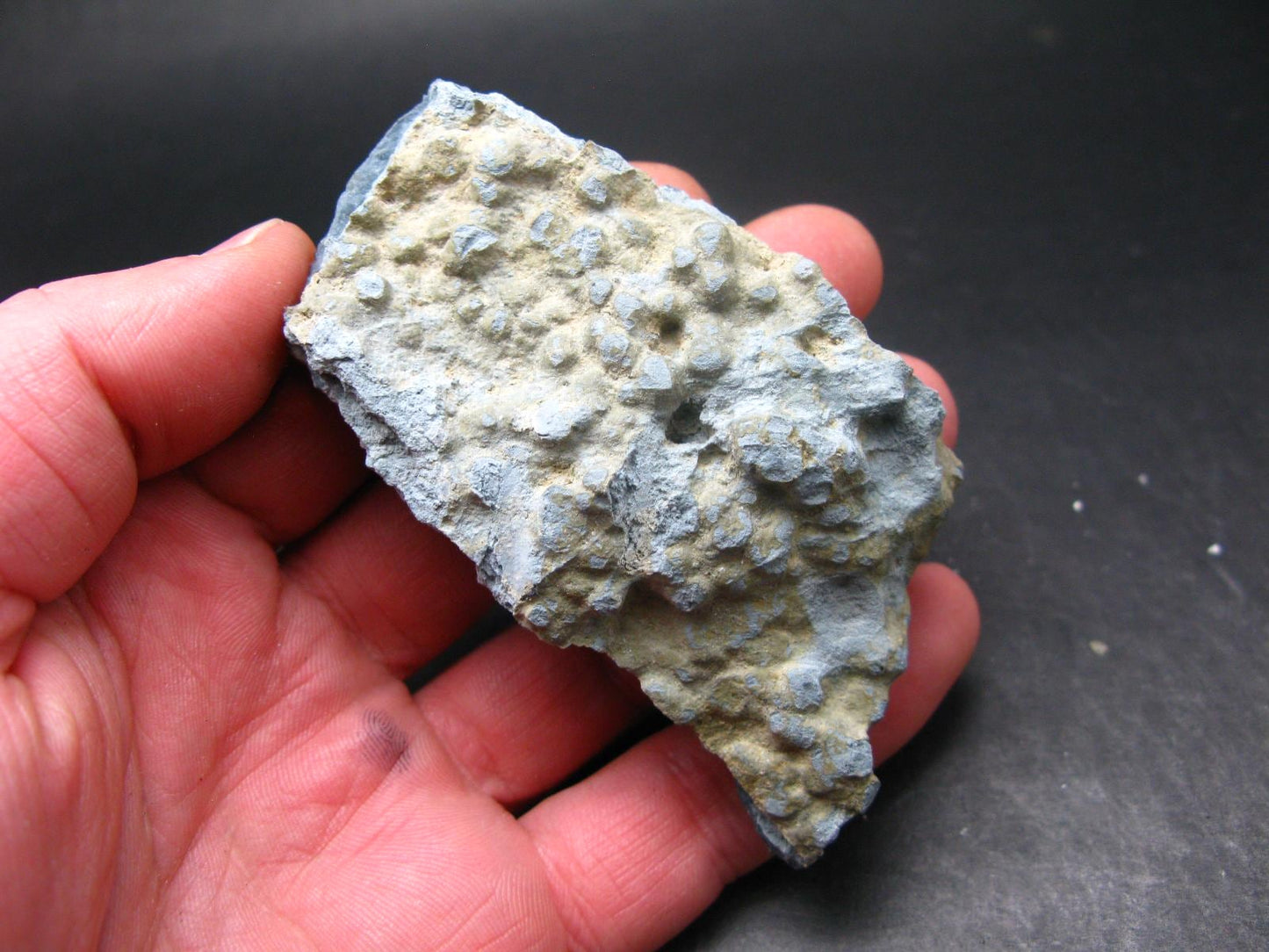 Neptunite on Natrolite Cluster From California - 3.8"