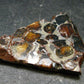 Large Sericho Meteorite Pallasite Olivine Slice From Kenya - 1.5" - 4.48 Grams