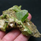 Rare Titanite Sphene Crystal Cluster From Madagascar - 3.3"