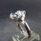 Meteorite Campo Del Cielo Argentina Sterling Silver Ring - 4.90 Grams - Size 10