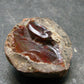 Natural Precious Opal With Play of Color from Ethiopia - 1.1" - 10.05 Grams