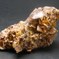 Wulfenite Cluster From Arizona - 3.0"