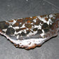 Large Brahin Meteorite Pallasite Olivine Slice From Belarus - 2.3" - 11.00 Grams