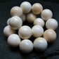 Conch Shell Genuine Bracelet ~ 7 Inches ~ 12mm Round Beads