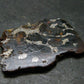 Large Sericho Meteorite Pallasite Olivine Slice From Kenya - 1.4" - 7.38 Grams