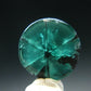 Beautiful Rare Gem Trapiche Emerald From Colombia - 3.12 Carats - 9.5x9.5mm