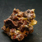 Wulfenite Cluster From Arizona - 1.9"- 49.68 Grams