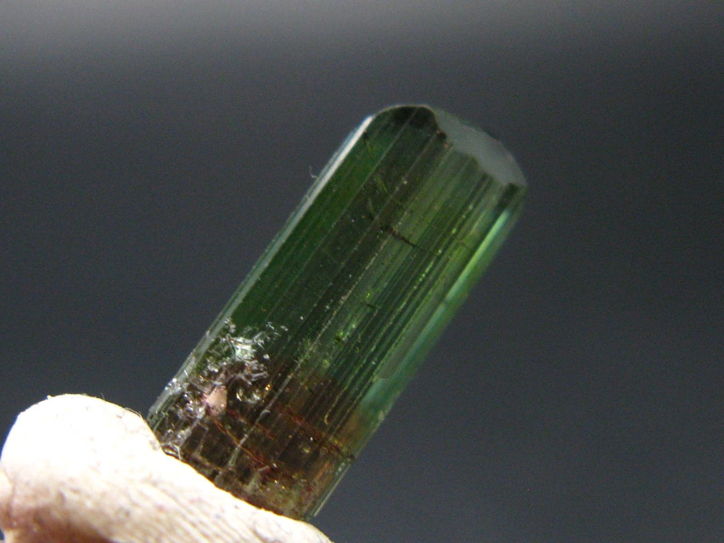 Rare Watermelon Tourmaline Crystal From Brazil - 0.6"