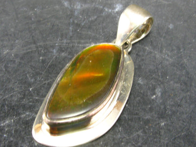 Ammolite Amolite Pendant in Sterling Silver + Chain From Canada