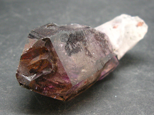 Elestial Amethyst Crystal Sceptered on Thin Stem from Zimbabwe - 66.8 Grams - 3.0"