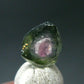 Rare Watermelon Tourmaline Crystal Slice From Brazil - 1.54 Carats