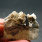 Large Natrolite Crystal from Canada - 1.2" - 17.93 Grams