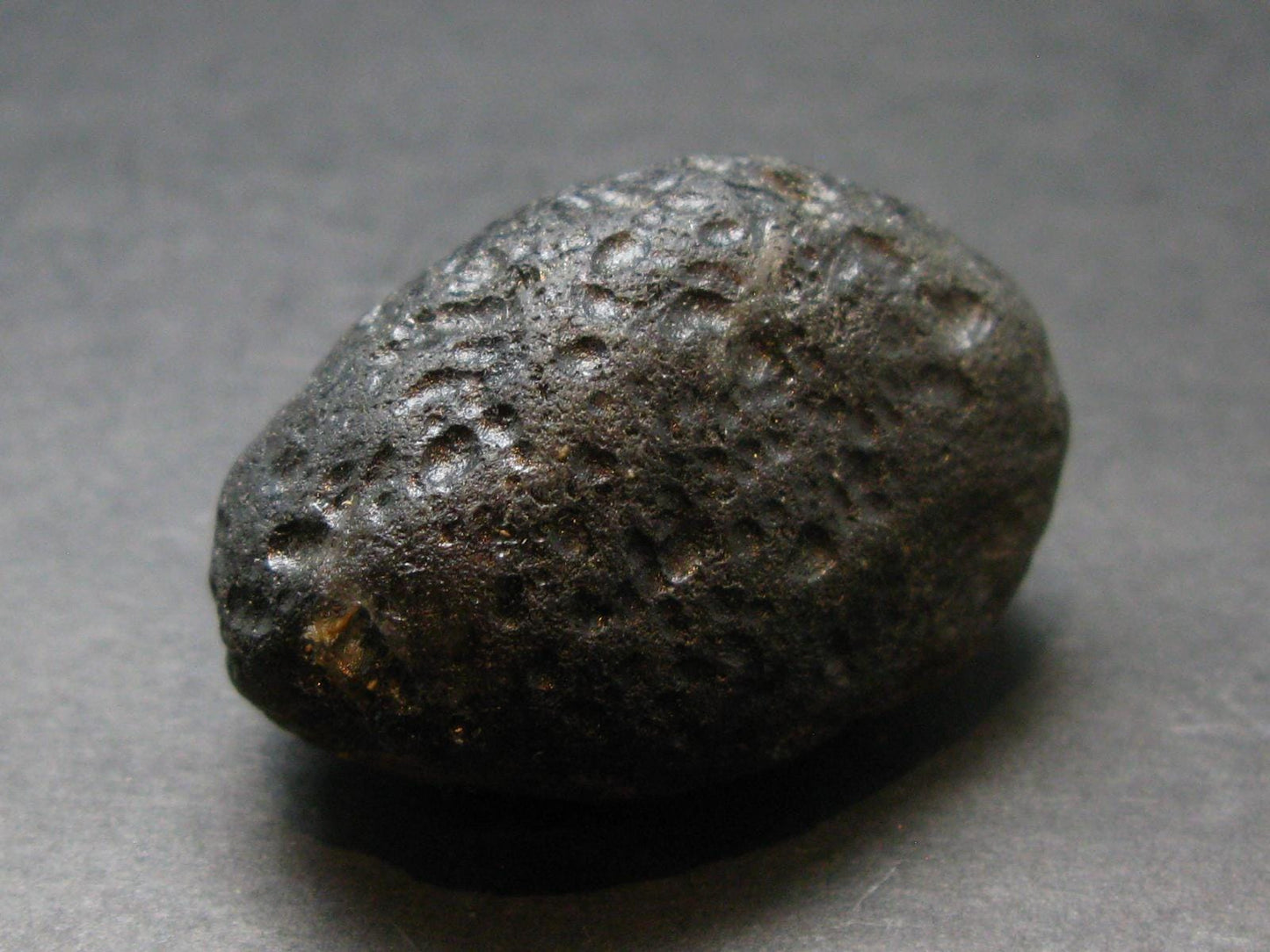 Colombianite Pseudotektite from Colombia - 26.80 Grams - 1.5"