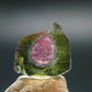 Rare Watermelon Tourmaline Crystal Slice From Brazil - 2.70 Carats